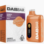 Dabwoods - GEORGIA PEACH - DABBAR AIO Vape 1G